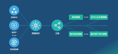 未來(lái)網(wǎng)絡(luò)的關(guān)鍵技術(shù) 網(wǎng)絡(luò)技術(shù)開發(fā)的星辰大海